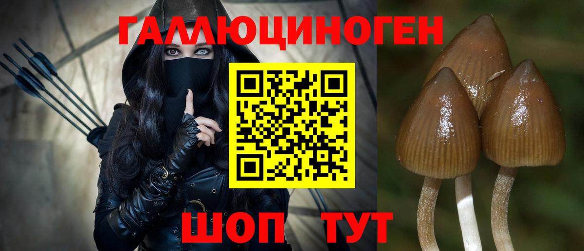 Псилоцибиновые грибы MAGIC MUSHROOMS Пугачёв